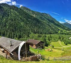 Hinteres valsertal nicht erreichbar die l230 in vals wurde sonntagfrüh gegen 4.40 uhr durch eine mure verlegt. Alm Schule Der Alm Vals
