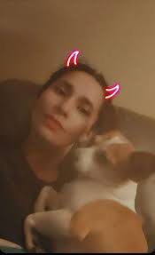 This could be Bilbo if anyone sees him please call me 231-720-4344