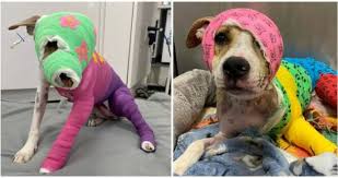 Poor Riona was cruelly set on fire with gasoline — but after a long road of  recovery, she's finally getting the happy ending she deserves... ❤️❤️