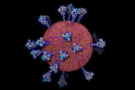 Seek medical attention if you have reason to believe you have been exposed to coronavirus or influenza. The Coronavirus Unveiled Microscopic Images Of Sars Cov 2 The New York Times