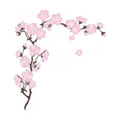 Fleur Nature Fleur De Cerisier Japonais Fleur De Cerisier Fleur De Cerisier Dessin