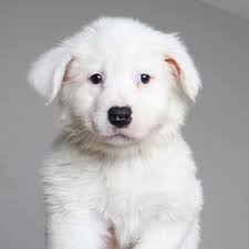 What if we called a season the red zone?