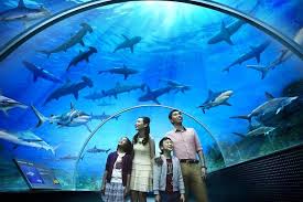 Get complete info of atma alam batik art village including timings, visiting hours, best time to visit, how to reach, shops and more. Private Full Day Langkawi City Tour With Underwater World