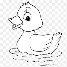 We did not find results for: Coloring Book Colouring Pages Chinese Dragon Adult Lynx Alaska Winter Child Dragon Png Pngegg