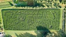 You can get lost in this Tom Brady-themed corn maze