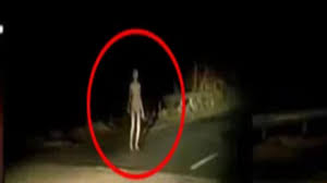 Welcome to the official alien twitter page. Fact Check Truth About Viral Video Of Alien Ghost Spotted On Highway In Jharkhand Deccan Herald
