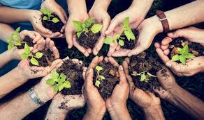 World environment day is the united nations day for encouraging worldwide awareness and action to protect our environment. Mvc Editora Sequencia Didatica Dia Mundial Do Meio Ambiente Mvc Editora