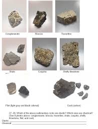 Typically aragonite, but often recrystallized to, or primarily, calcite. Conglomerate Breccia Travertine Shale Coquina Shelly Chegg Com
