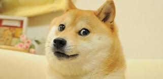 Elon musk is a known fan of dogecoin, and regularly tweets memes about both the crypocurrency spacex ceo elon musk tweeted on thursday that the aerospace company plans to put a literal. Elon Musk Offers To Pay Money To Dogecoin Whales To Void Account Titres Actualites Coinmarketcap