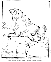 Sea Lion Coloring Pages Zoo Animals Lion Coloring Pages Zoo Animal Coloring Pages Zoo Coloring Pages