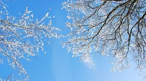 Om allt går enligt plan kan vaccinering då inledas i sverige redan i mellandagarna. Nu Startar Vaccinering Mot Covid 19 I Jonkopings Lan Mullsjo