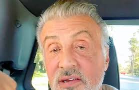 See more ideas about beautiful gray hair, silver hair, hair. Sylvester Stallone Sylvester Stallone Fans Gush Silver Fox Unveils Grey Hair Mirror Celeb Scoopnest