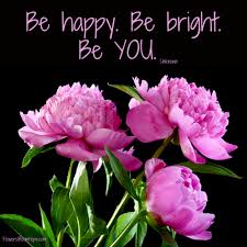 Read some cheerful quotes, sayings, and poems centered on the sunflower, and learn some fun facts about these flowers, too! Health Quotes Flowers Bloom Hope