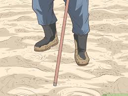 how to get out of quicksand: 11 steps