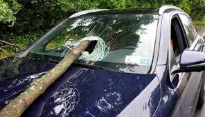 Maybe you would like to learn more about one of these? Replacement Windshields On Leased Cars Hurt911