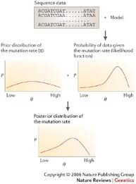 Latest biology activity gene mutations and proteins answer key updates. Modern Computational Approaches For Analysing Molecular Genetic Variation Data Nature Reviews Genetics