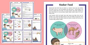 Camels are ruminant feeders and do not chew when they eat their food, but later regurgitate the cud and finish digesting it later. Kosher Food Differentiated Fact File Teacher Made