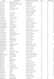 Image result for Pegolettia senegalensis