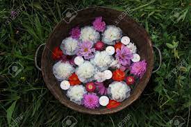 Maybe you would like to learn more about one of these? Floating Candles And Flowers In Old Zins Basin Summer Garden Stock Photo Picture And Royalty Free Image Image 151772176