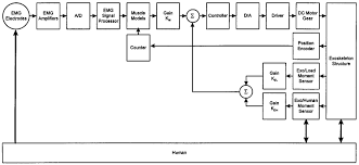 Exoskeleton System Component And Signal Flow Diagram