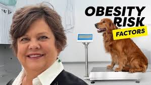 Welcome to The Pet Food Science Podcast