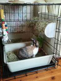 It keeps your hay more organized and separate. 40 Hay Rack Litter Box Ideas Hay Racks Litter Box Bunny Cages
