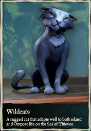 Imagine sherry growing up to be goldie hawn and you have an idea of her character in wildcats. Wildcats The Sea Of Thieves Wiki