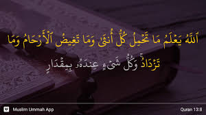 [these letters are one of the miracles of the qur'an and 13. Surah Ar Ra D Ayat 8 Qs 13 8 Tafsir Alquran Surah Nomor 13 Ayat 8