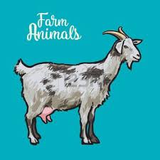 Cabras Imagenes De Archivo Vectores Cabras Fotos Libres De Derechos Siluetas Animales Cabras Ilustraciones
