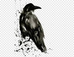 Black Crow Painting Common Raven Watercolor Painting Tattoo The Shining Isle Crow Ink Animals Png Pngegg