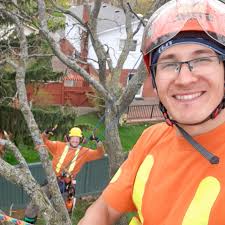 Northern Medicinal Plants