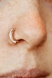 Born This Way Body Arts Knoxville Tattoo Piercing Shop Nose Jewelry Unique Nose Rings Nose Ring