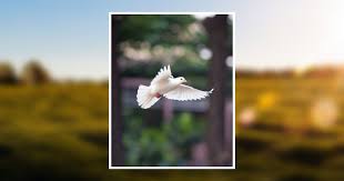 Billie Joe Greer Obituary September 15, 2019