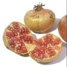 Semoga sehat selalu, selamat datang di web hargabulan ini.com (hbi) yang kali akan. Buah Delima 1 Kg Buah Delima Putih Shopee Indonesia