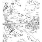 Dr seuss coloring pages landscape. Habitats Biomes Coloring Nature
