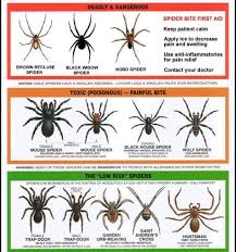 us spider chart it will be warm soon and thats when i see