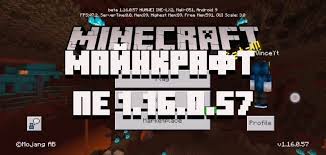 скачать майнкрафт 1 15 0 на андроид бесплатно на русском Skachat Minecraft Pe 1 16 0 57 Strajdery I Bastiony Besplatno Na Android