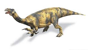 Every day, we add new coloring pages for kids. Antetonitrus Printable Coloring Pages Dinosaurs Pictures And Facts