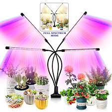 We did not find results for: Top 22 Best Full Spectrum Plant Growing Lamps Of 2021 Reviews
