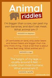 We have collected the best short riddles for your leisure time. 27 Animal Riddles For Kids That Are Great For Car Rides And Classrooms