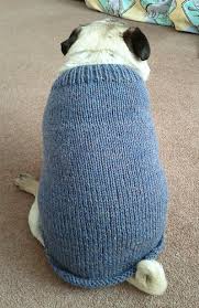 Pug and the knitted pug. Ravelry Pug Dog Sweater Pattern By Angelcatkins Elizabeth Watkins Designs