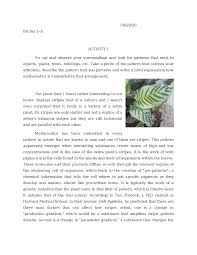 Lee introduction this is a math class! Math Activity 1 Docx Docsity