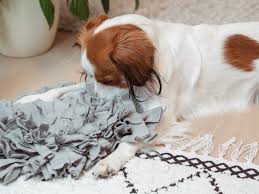 Weitere ideen zu teppich, diy teppiche, diy teppich. Schnuffelteppich Fur Hunde Selber Machen Lykke Life