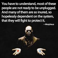 (see for example, the following articles: Most Of These People Are Not Ready To Be Unplugged Matrix Quotes Matrix Strong Quotes