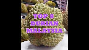 Contact malaysia durian festival 2017 on messenger. Opening Durian D101 From Johor Malaysia By Placesandfoods
