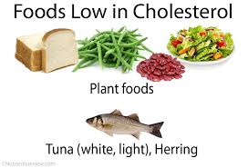 cholesterol functions foods high low charts ldl hdl total