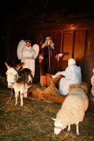 Here you can calculate how many camels your girlfriend or boyfriend is worth. How Much Is That Camel In The Window Animal Rentals Boom This Time Of Year Triblive Com