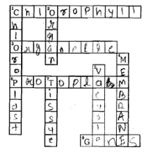 Maybe you would like to learn more about one of these? Crossword Puzzleacross1 This Is Necessary For Photosynthesis 3 Term For Component Present In The Cytoplasm 6 This Living Substance In The Cell 8 Units Of Inheritance Present On The Chromosomes Down1 Green Plastids 2 Formed By Collection