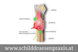 Schilddrusenoperation
