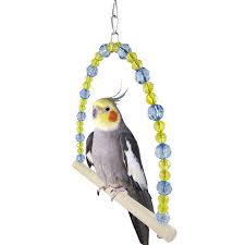 Pin On Bird Supplies Wholesaler